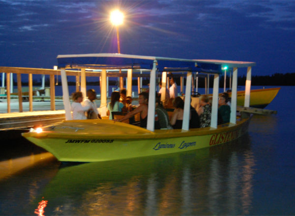 best time to visit luminous lagoon jamaica